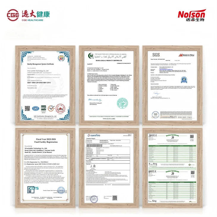 Lactobacillus Paracasei