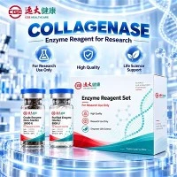 CGE Collagenasi C-DEN-02 per la dissociazione dei tessuti densi